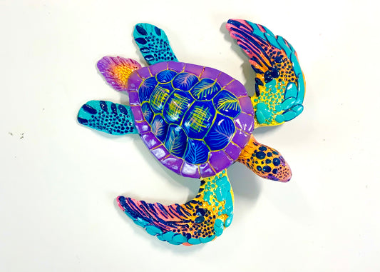 Sheldon the Sea Turtle M - B